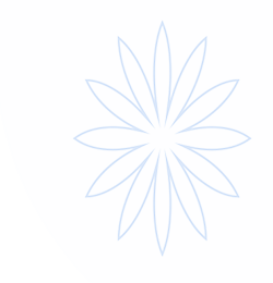 开云·体育 (kaiyun)官方网站_KAIYUN SPORT